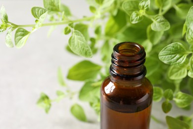 Essential oil in bottle and oregano twigs on light table, closeup