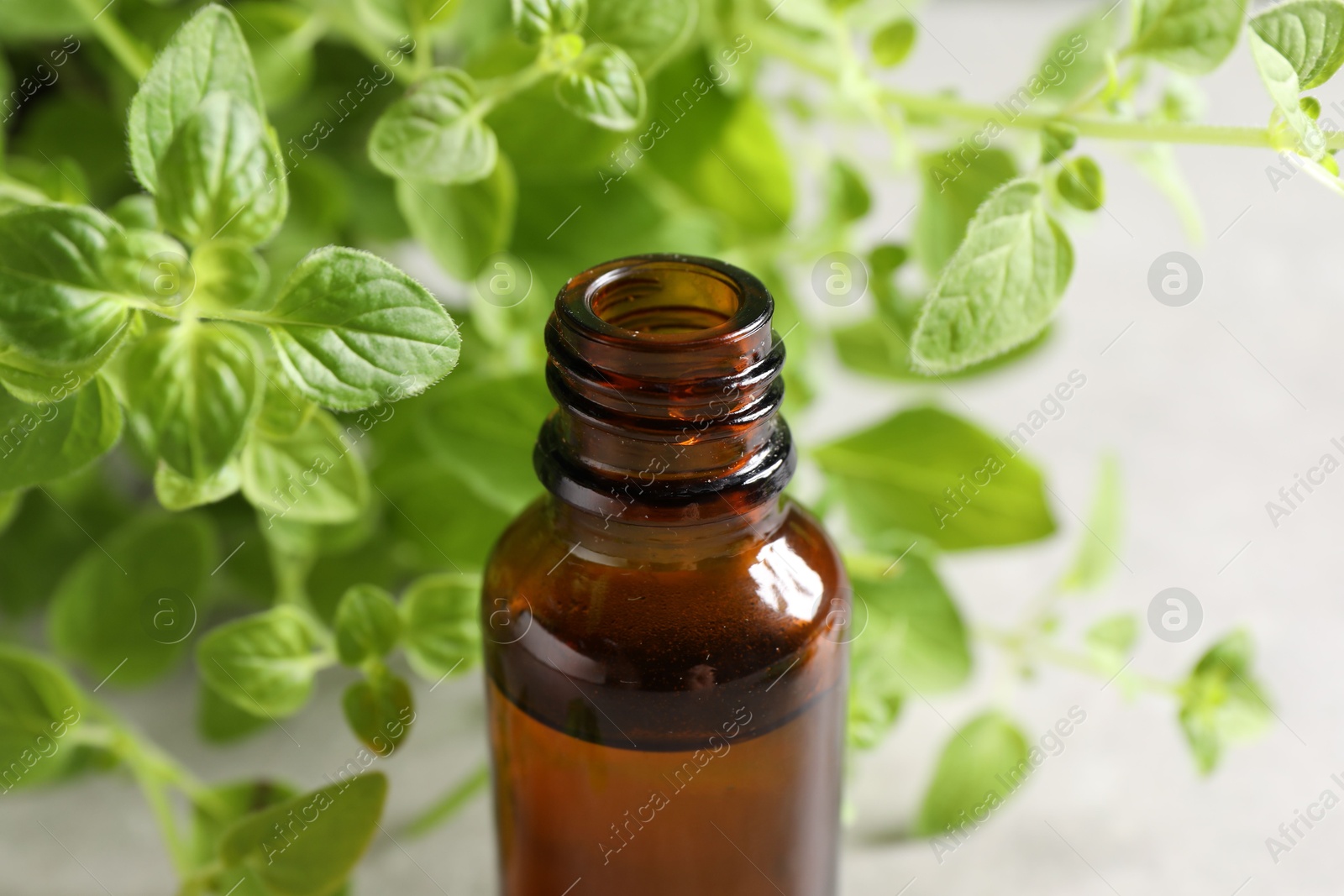 Photo of Essential oil in bottle and oregano twigs on light table, closeup