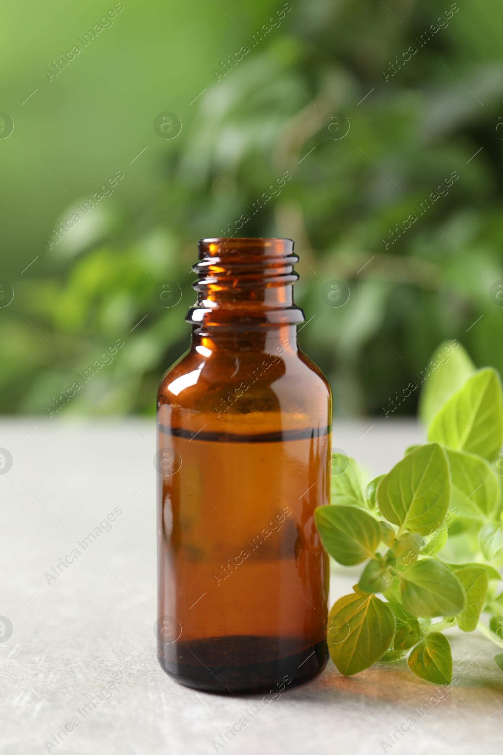 Photo of Essential oil in bottle and oregano twigs on light textured table against blurred green background, closeup