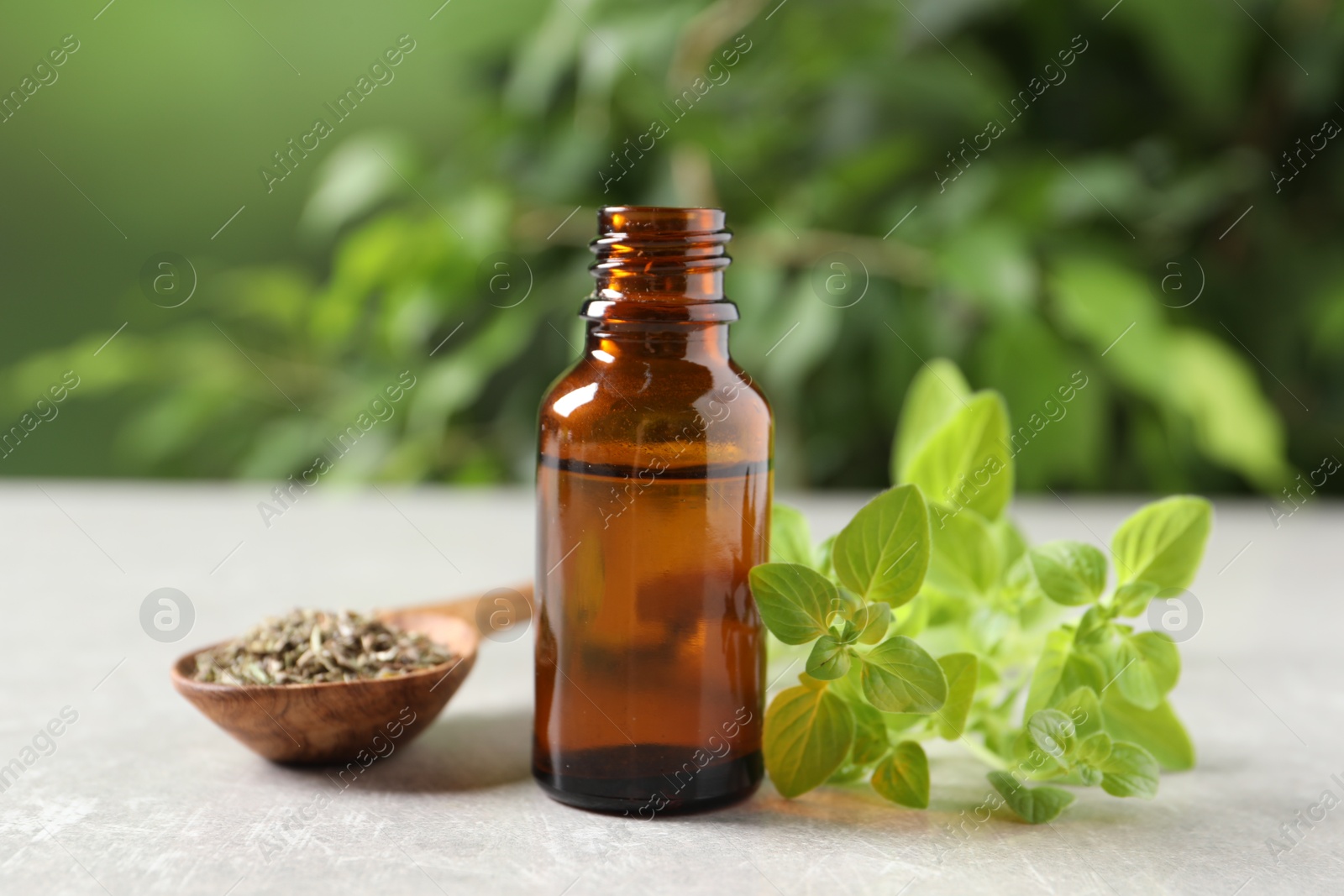 Photo of Essential oil in bottle, spoon with dry herb and oregano twigs on light textured table against blurred green background, closeup