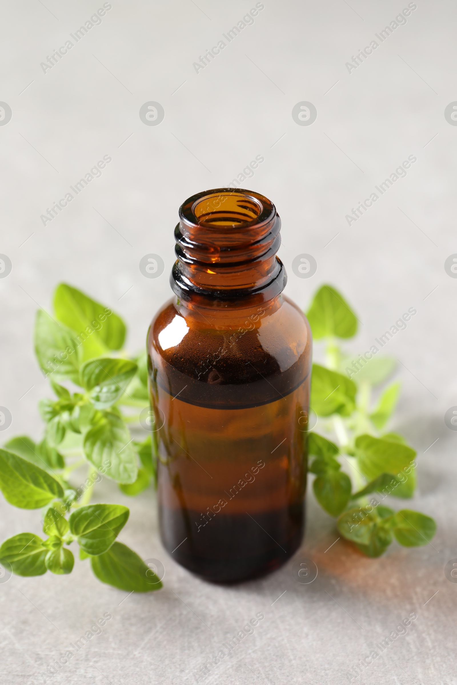 Photo of Essential oil in bottle and oregano twigs on light textured table, closeup