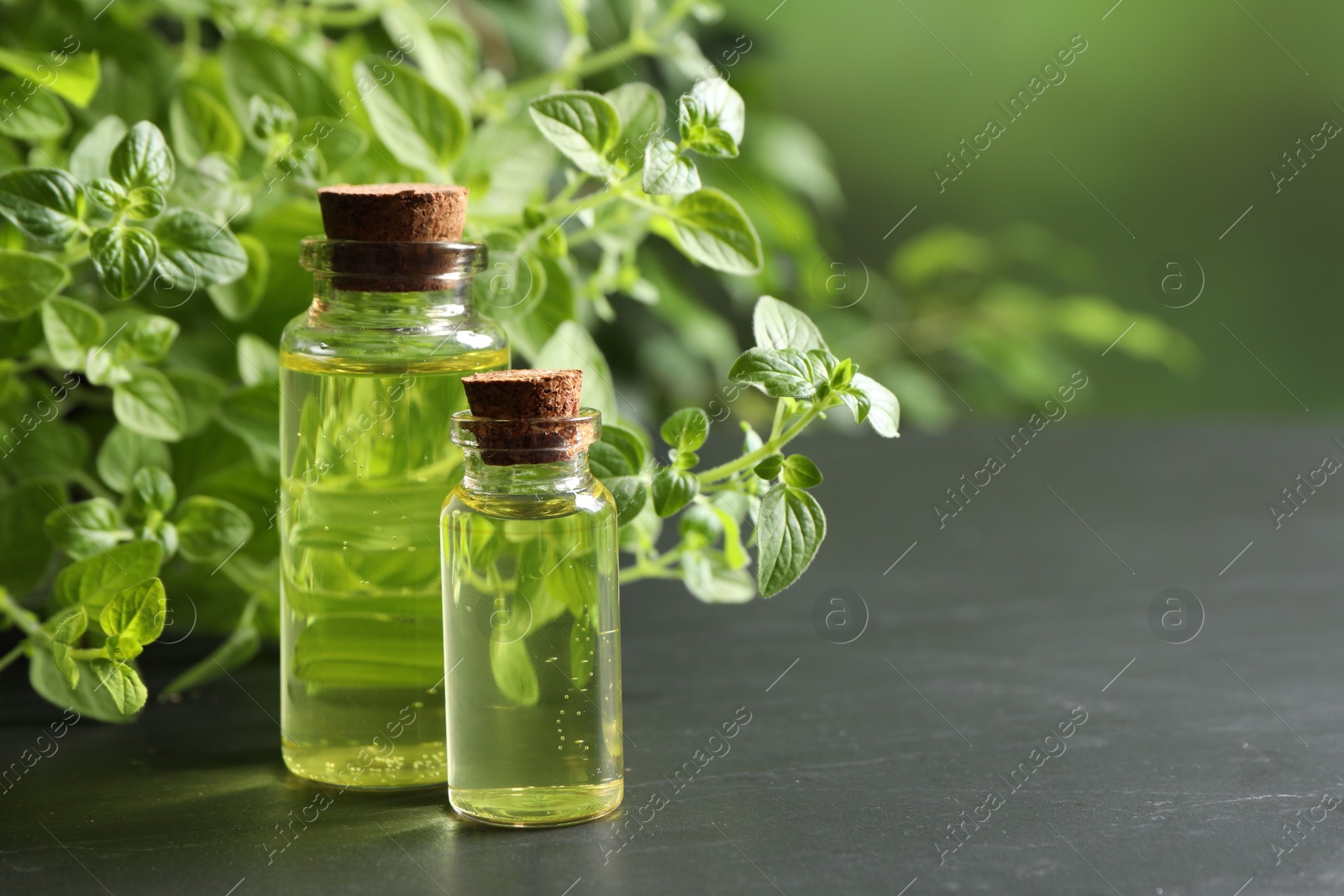 Photo of Essential oil in bottles and oregano twigs on dark textured table against blurred green background, closeup. Space for text