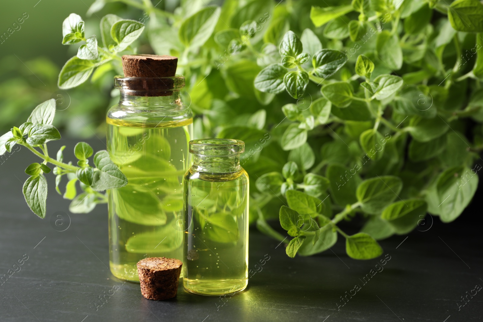 Photo of Essential oil in bottles and oregano twigs on dark textured table, closeup