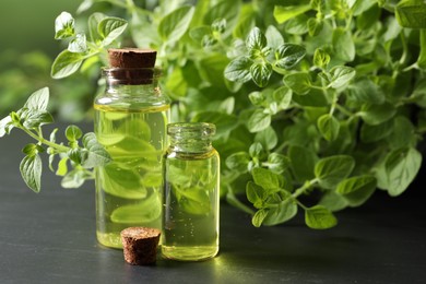 Photo of Essential oil in bottles and oregano twigs on dark textured table, closeup