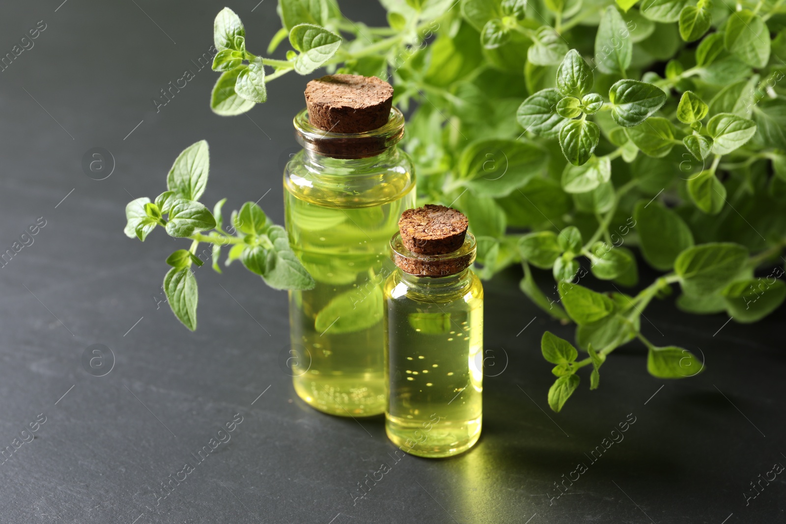 Photo of Essential oil in bottles and oregano twigs on dark textured table, closeup