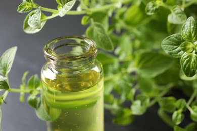 Photo of Essential oil in bottle and oregano twigs on grey background, closeup