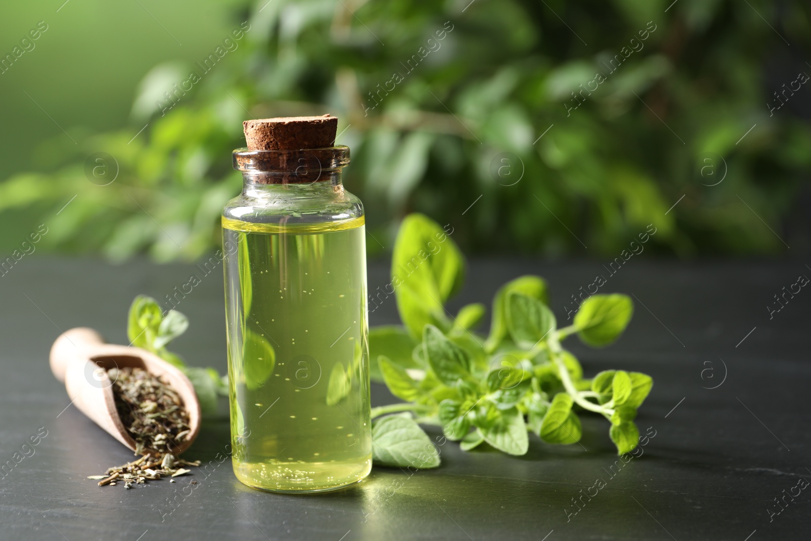 Photo of Essential oil in bottle, scoop with dry herb and oregano twigs on dark textured table against blurred green background, closeup