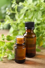 Photo of Essential oil in bottles and oregano twigs on wooden table, closeup