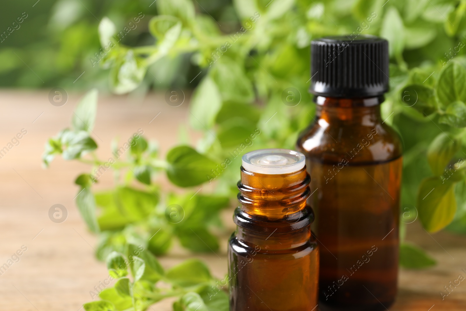 Photo of Essential oil in bottles and oregano twigs on table, closeup. Space for text