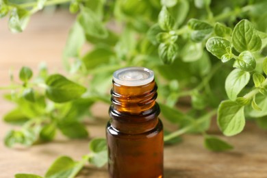 Essential oil in bottle and oregano twigs on table, closeup