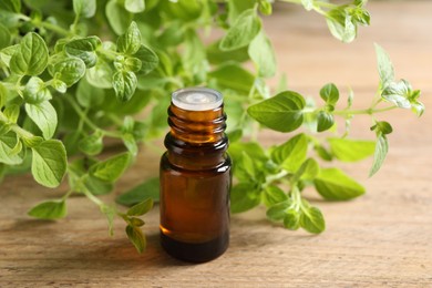 Essential oil in bottle and oregano twigs on wooden table, closeup