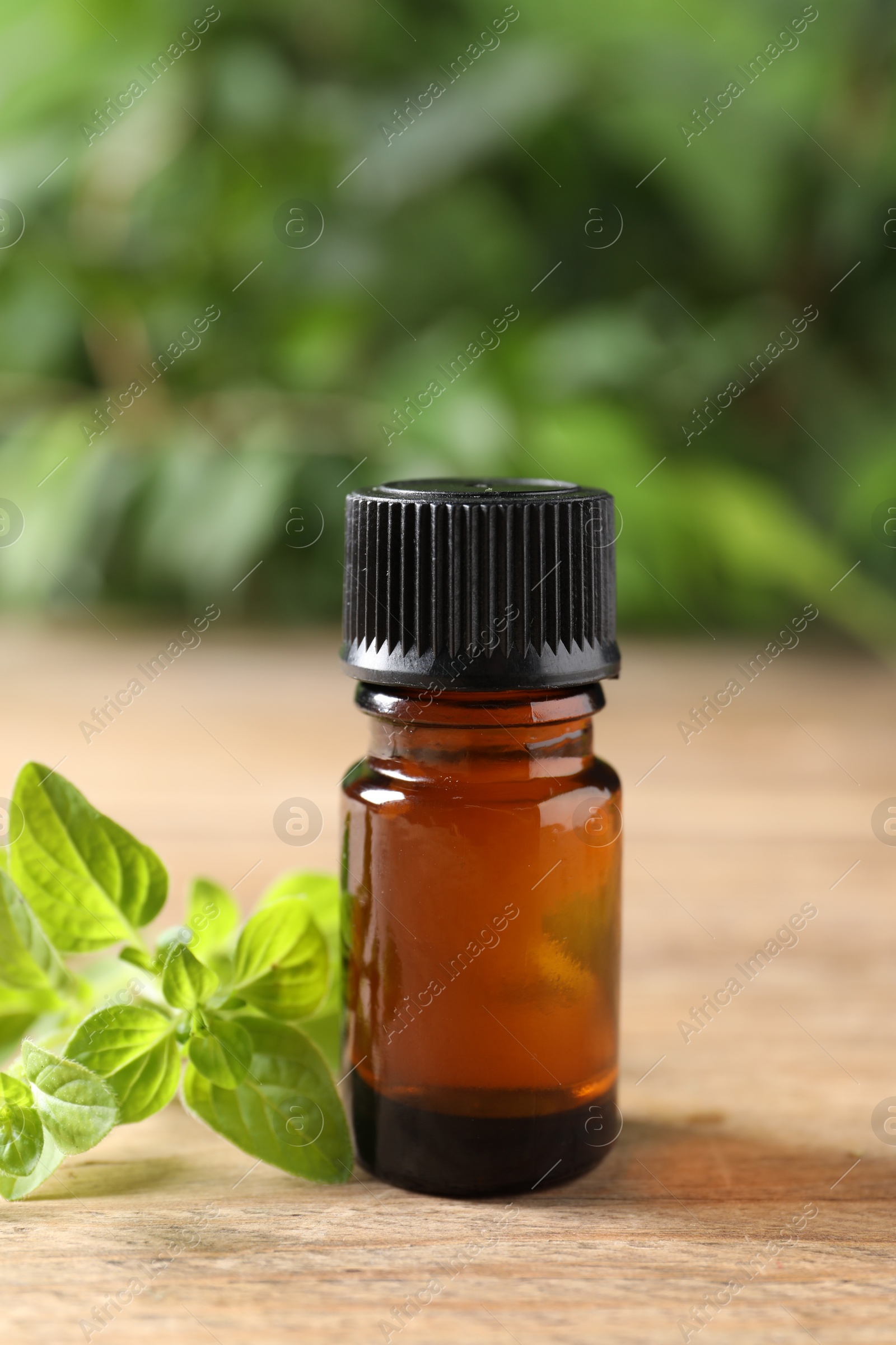 Photo of Essential oil in bottle and oregano twigs on wooden table against blurred green background, closeup