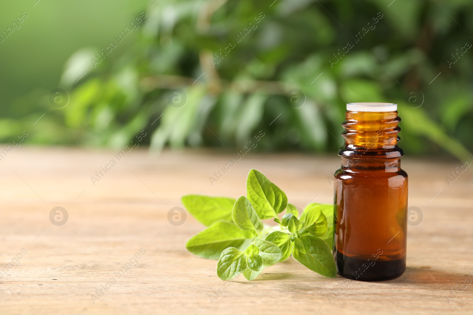 Photo of Essential oil in bottle and oregano twigs on wooden table against blurred green background, closeup. Space for text