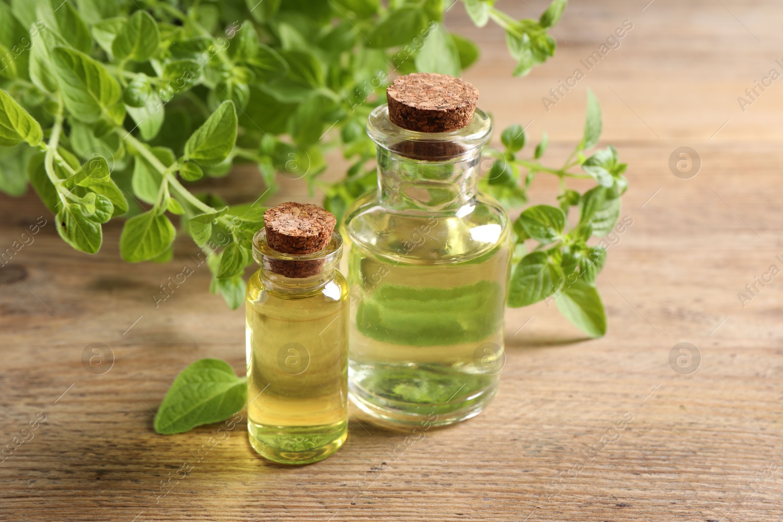 Photo of Essential oil in bottles and oregano twigs on wooden table, closeup