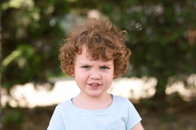 Portrait of little boy outdoors. Cute child