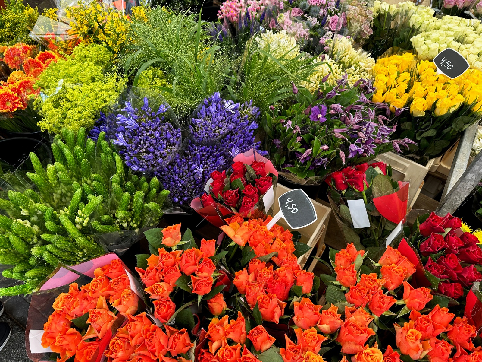 Photo of Assortment of beautiful flowers in floral shop