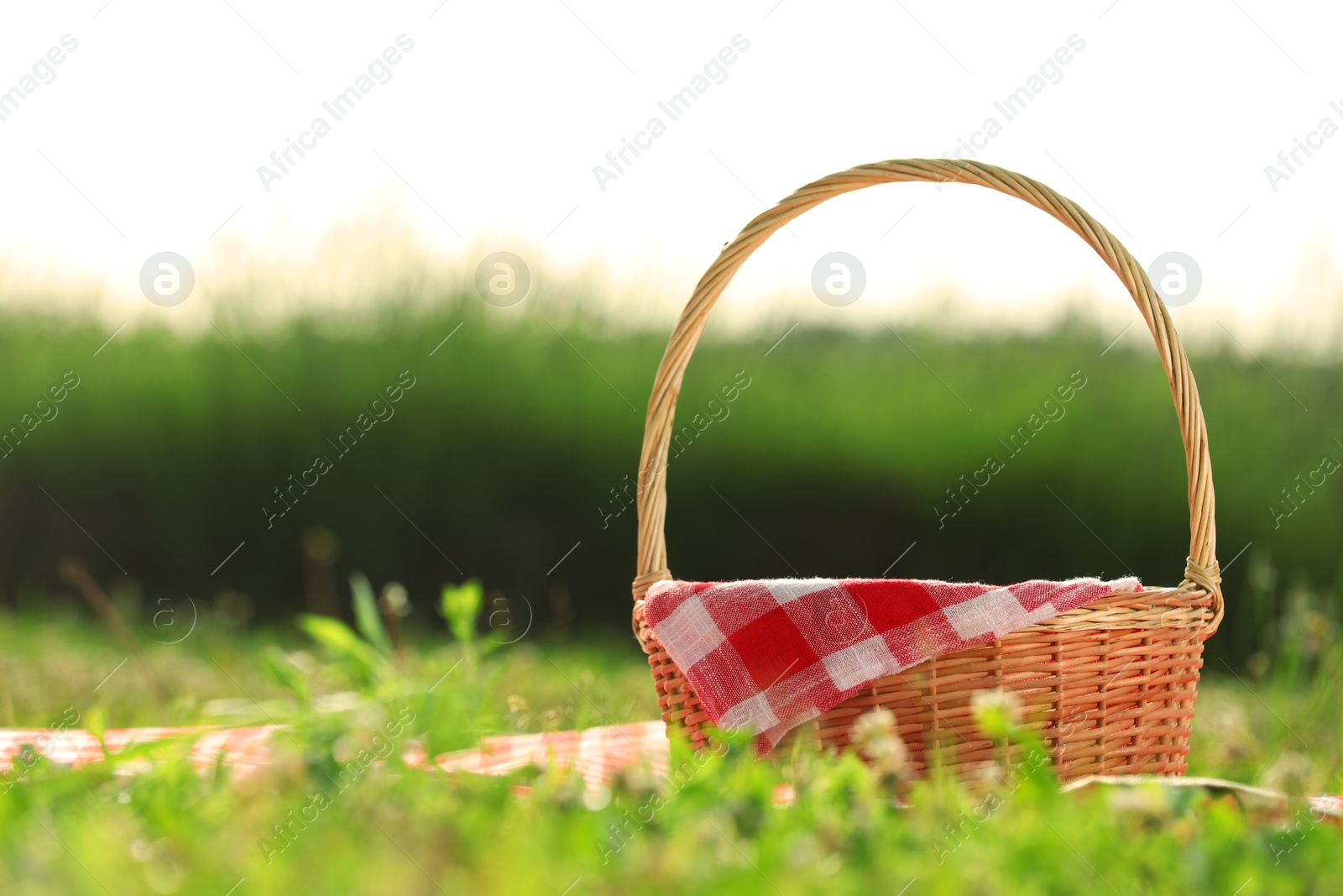 Photo of Picnic wicker basket with red checkered napkin and blanket on green grass outdoors, space for text