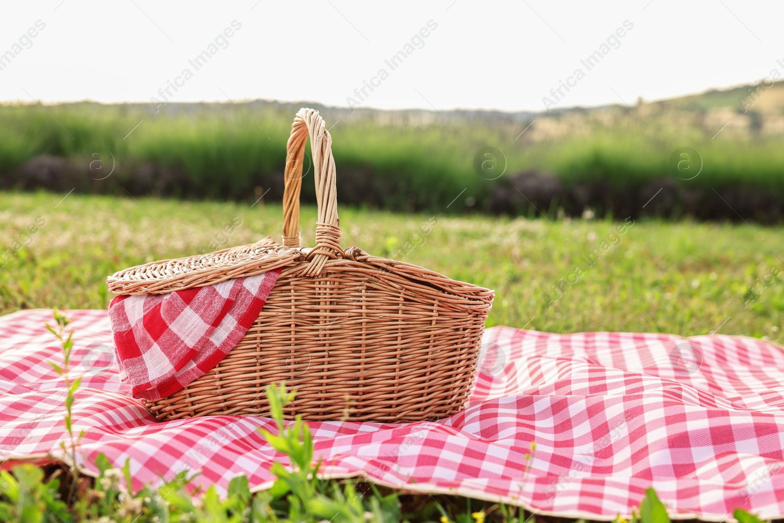 Photo of Picnic wicker basket with napkin and red checkered blanket on green grass outdoors, space for text