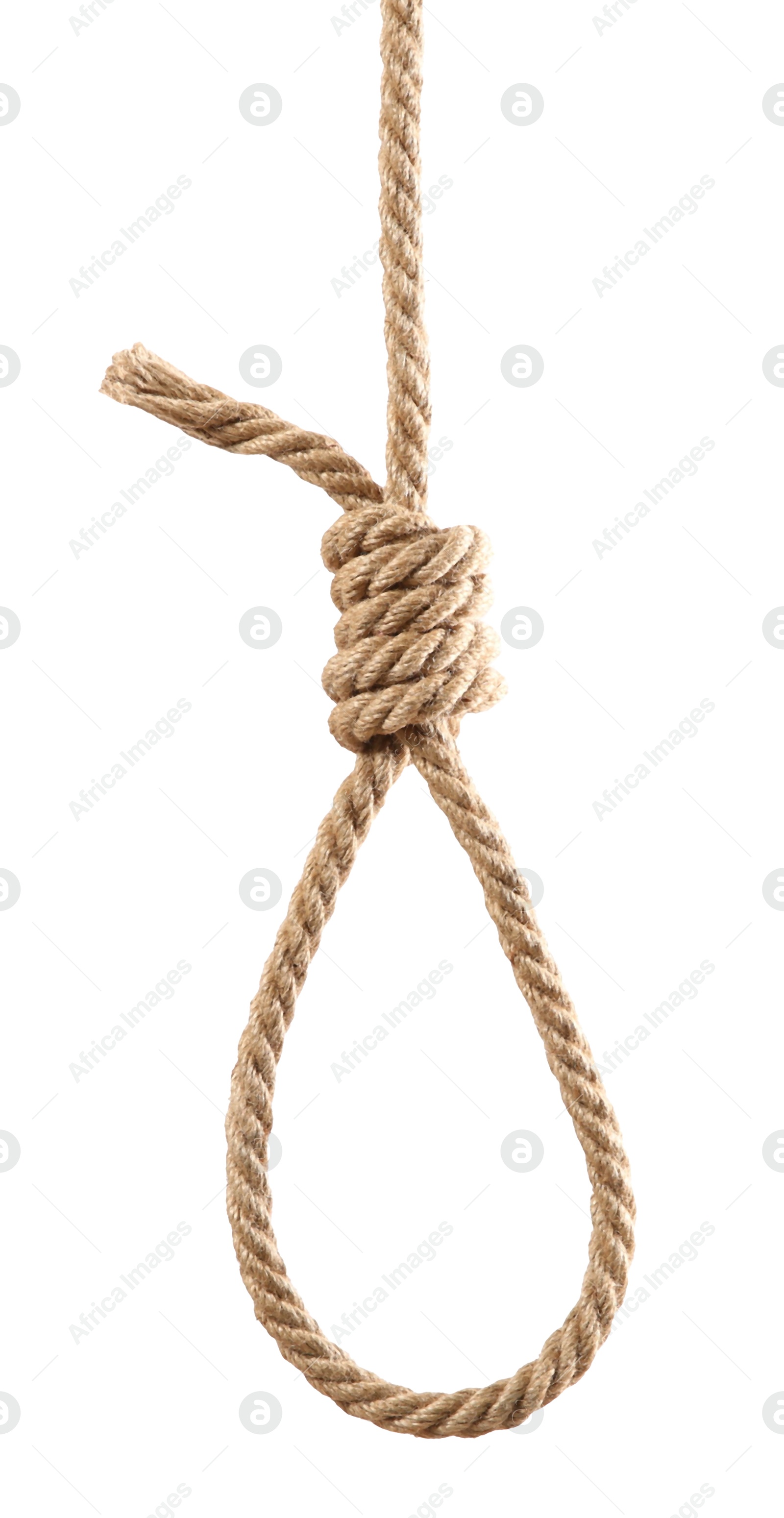 Photo of Hemp rope with knot on white background