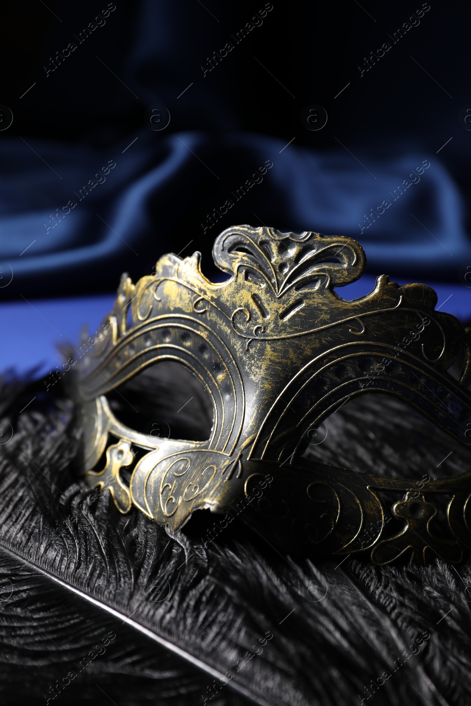 Photo of Beautiful carnival mask and feathers on blue fabric, closeup