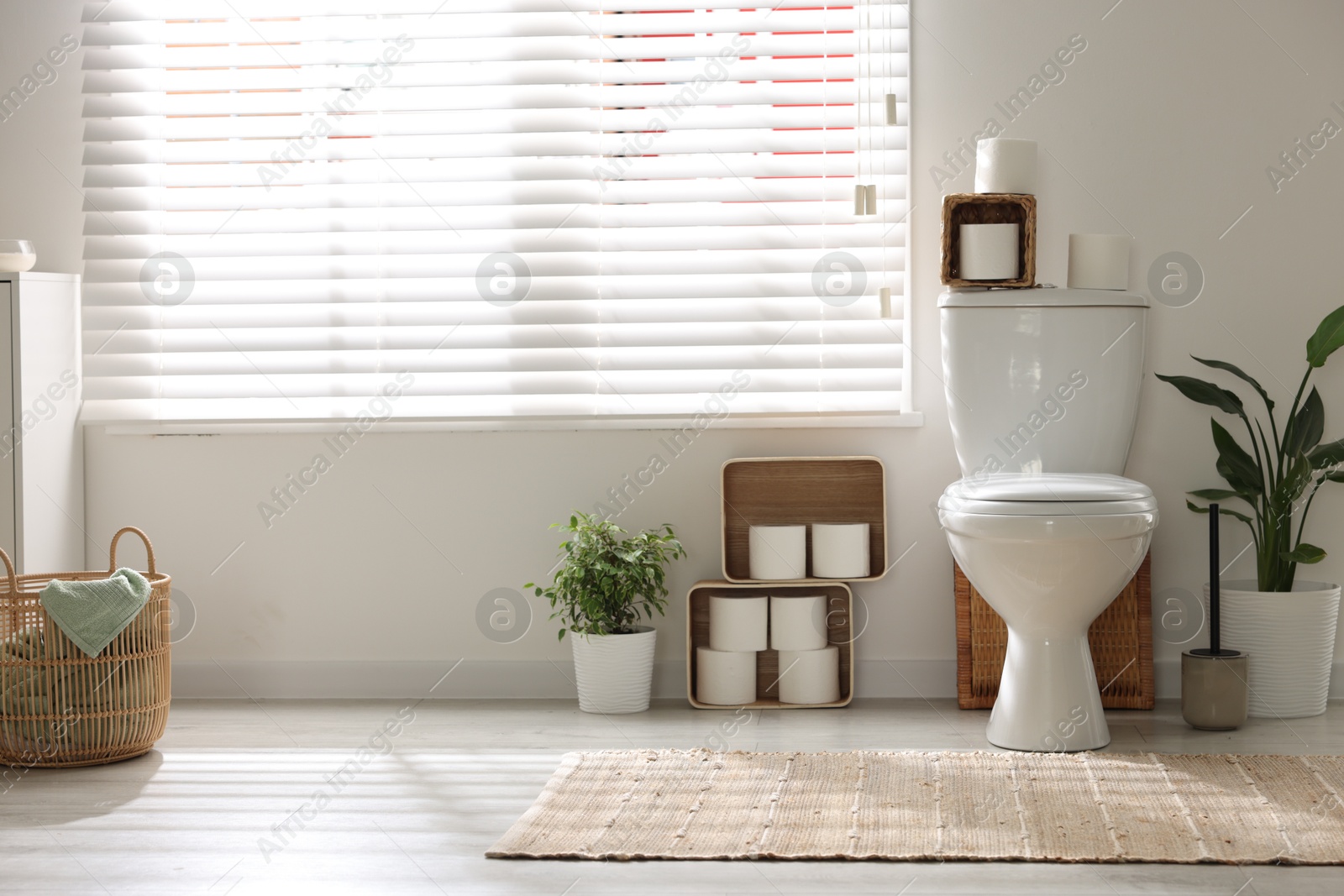 Photo of White toilet bowl, paper rolls and houseplants in bathroom