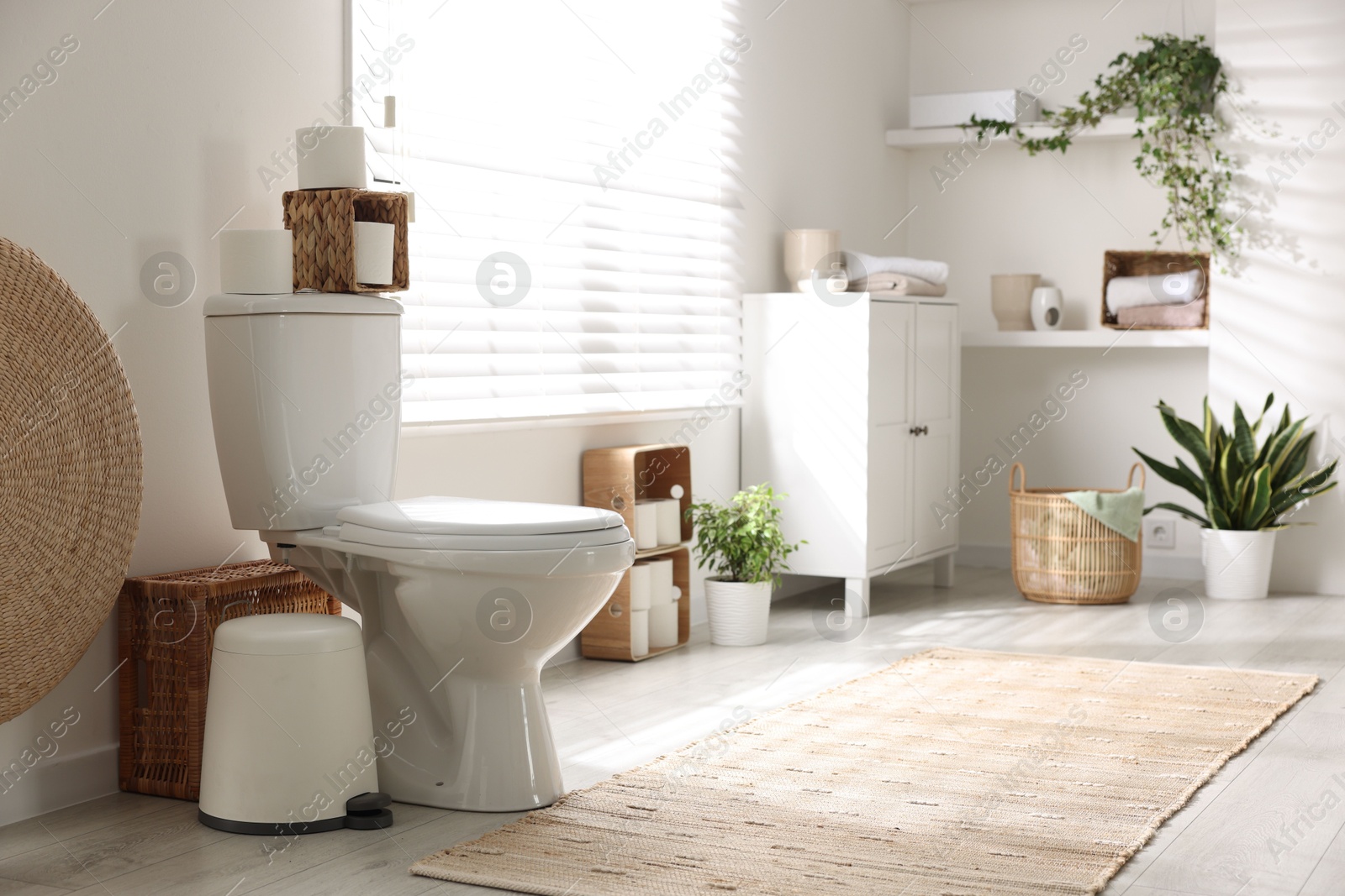 Photo of White toilet bowl, paper rolls and houseplants in bathroom