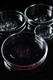 Photo of Petri dishes with samples on black mirror surface