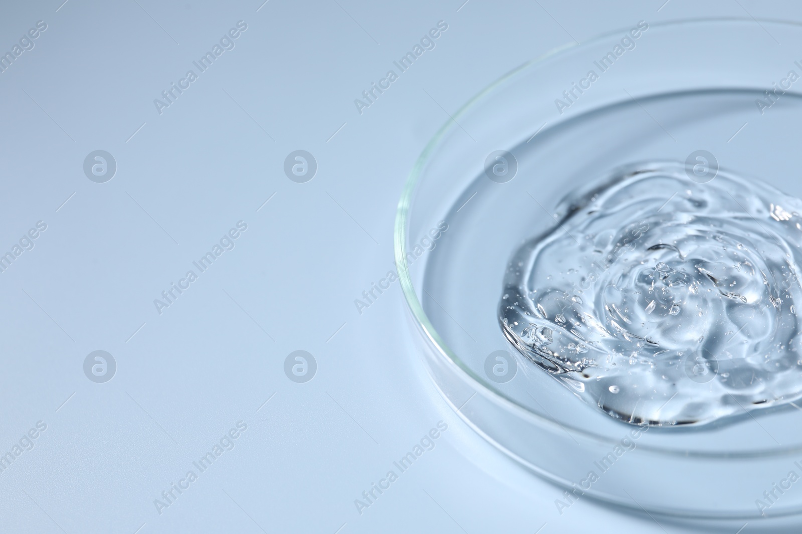 Photo of Petri dish with sample on light blue background, space for text