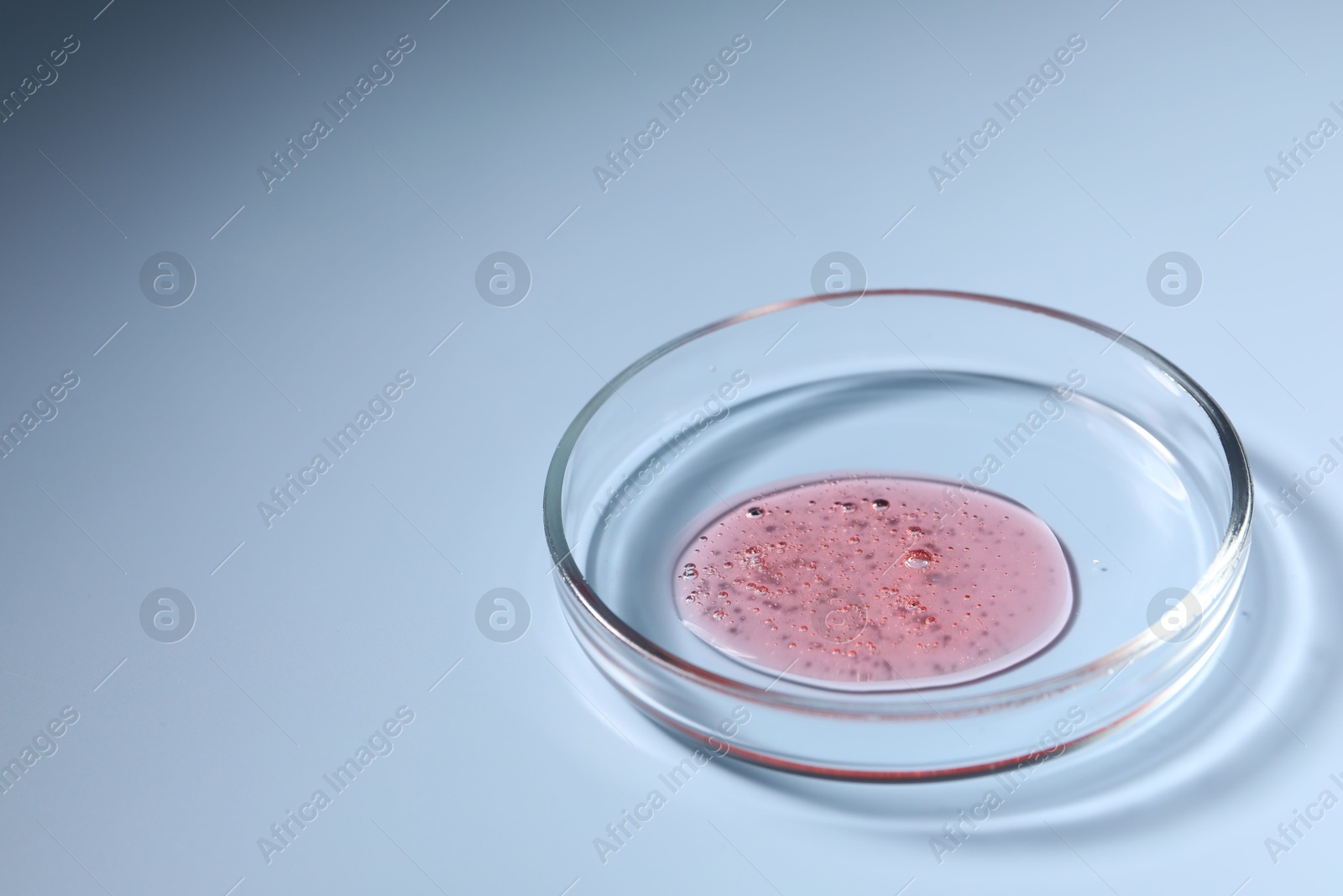 Photo of Petri dish with sample on light blue background, space for text