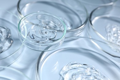 Photo of Petri dishes with samples on light blue background, closeup