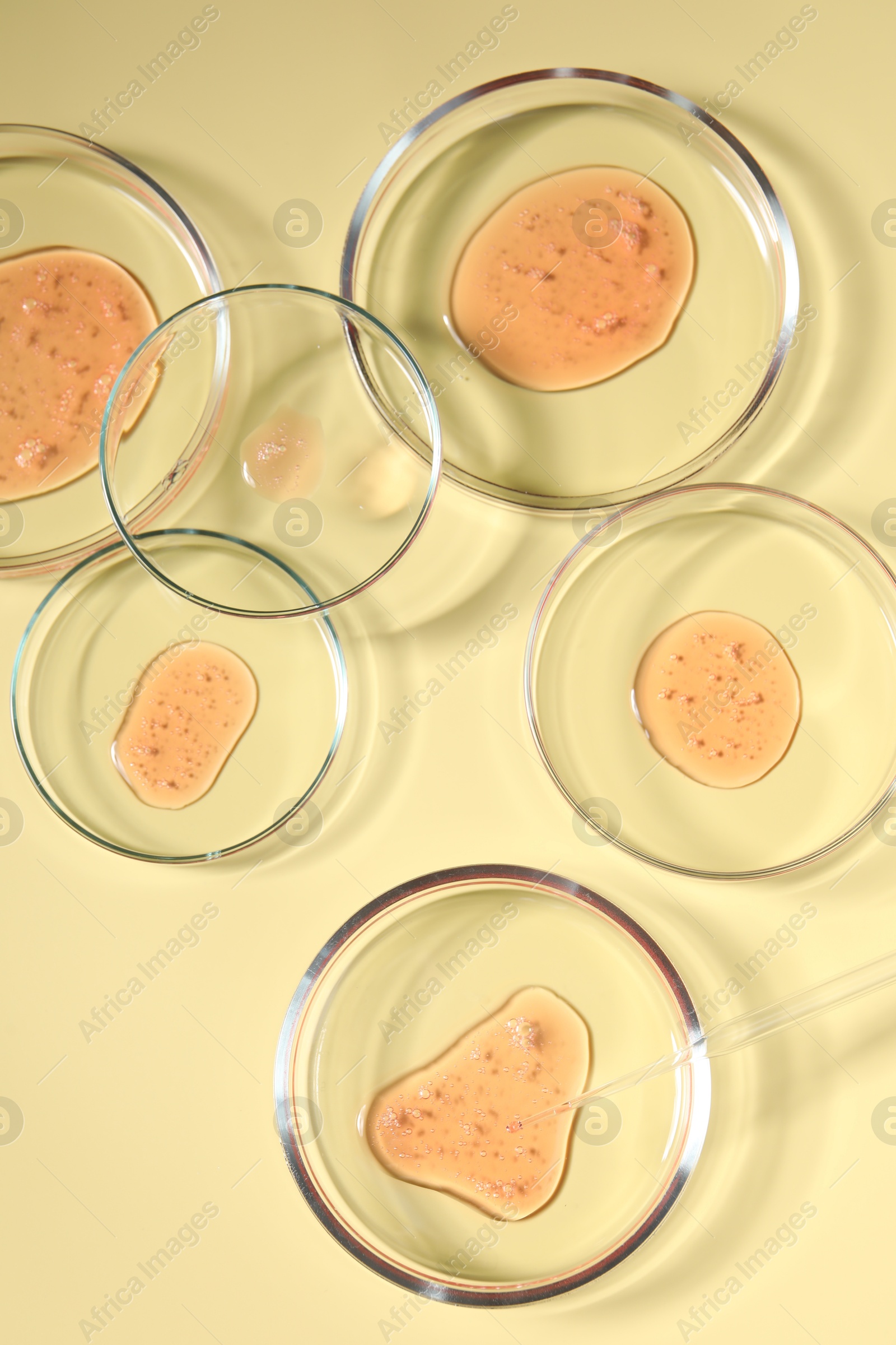 Photo of Petri dishes with samples on beige background, top view