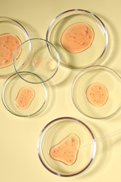 Petri dishes with samples on beige background, top view