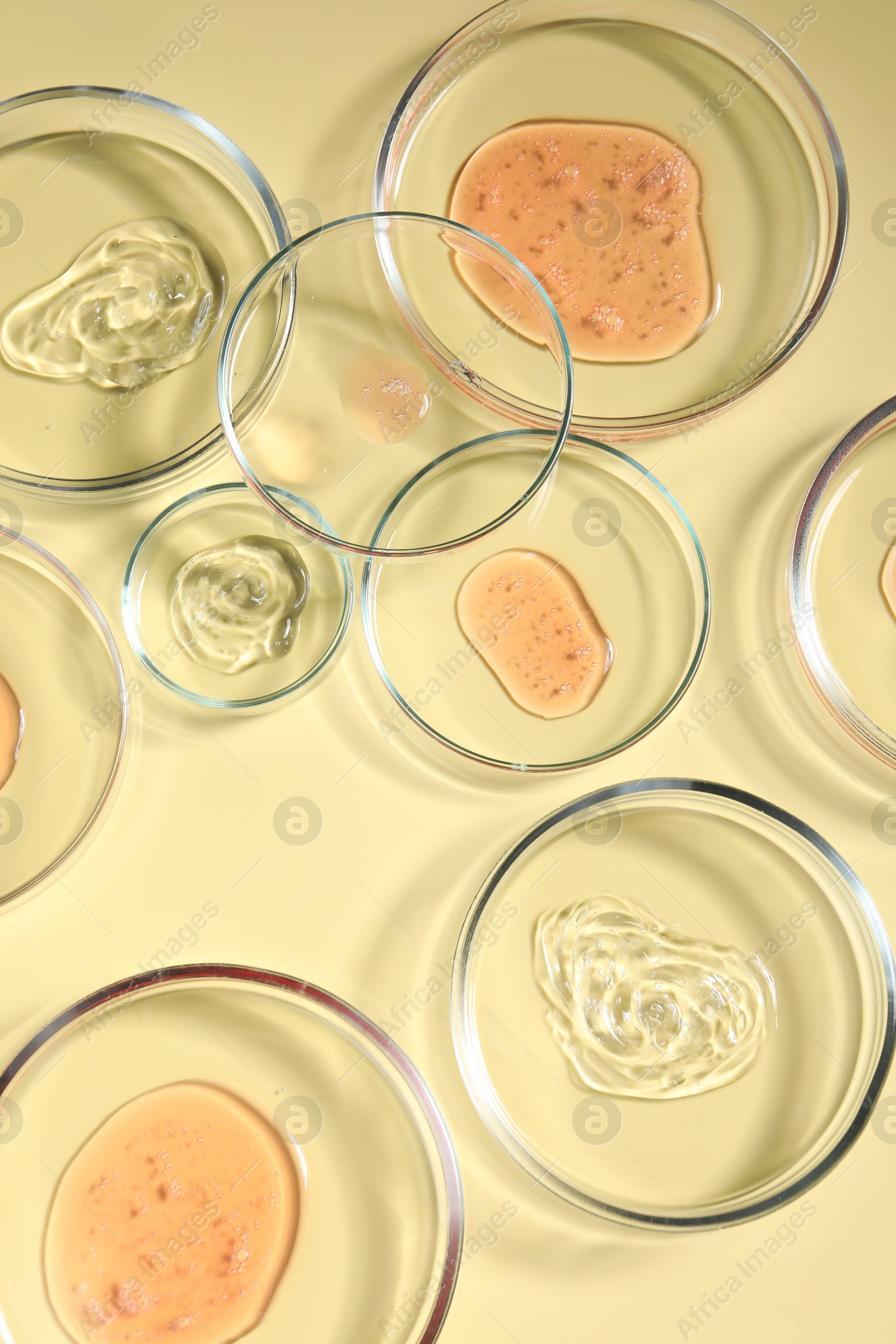 Photo of Petri dishes with samples on beige background, top view