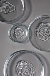 Petri dishes with samples on grey background, top view