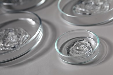 Petri dishes with samples on grey background, closeup