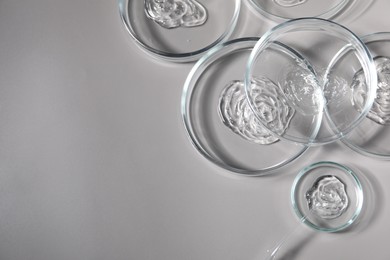 Photo of Petri dishes with samples and pipette on grey background, top view. Space for text