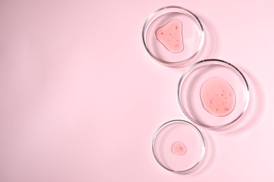 Petri dishes with samples on pink background, top view. Space for text