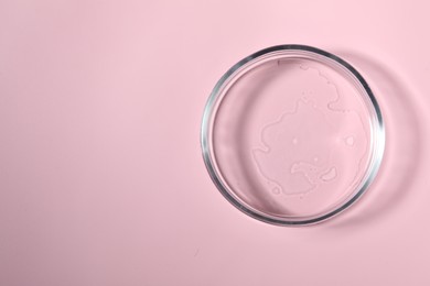 Petri dish with sample on pink background, top view. Space for text