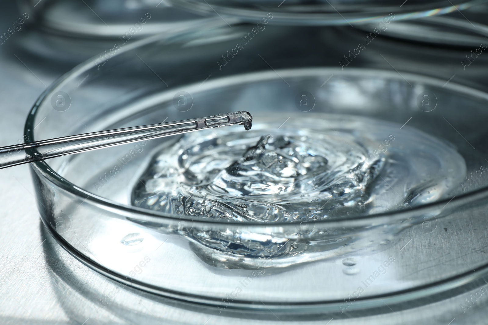 Photo of Dripping sample from pipette into petri dish at table, closeup