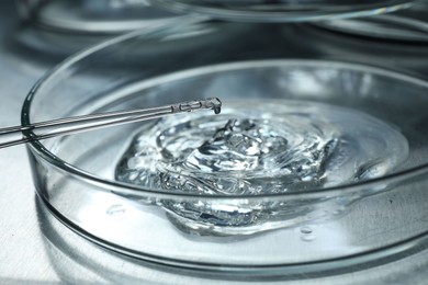 Dripping sample from pipette into petri dish at table, closeup