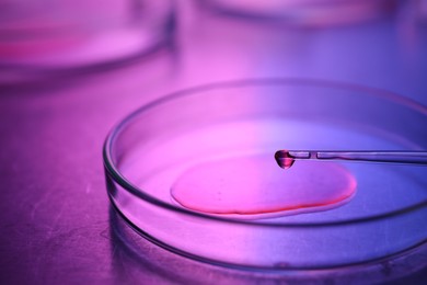 Photo of Dripping sample from pipette into petri dish neon lights at table, closeup