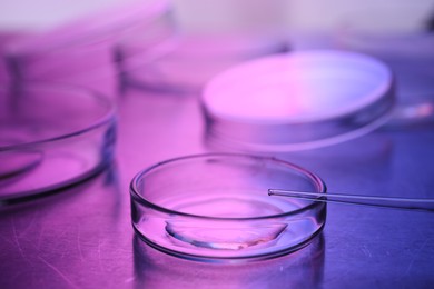 Photo of Dripping sample from pipette into petri dish neon lights at table, closeup