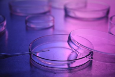 Photo of Dripping sample from pipette into petri dish neon lights at table, closeup