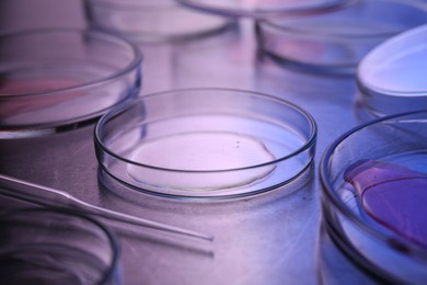 Petri dishes with samples and pipette on table, closeup. Color toned