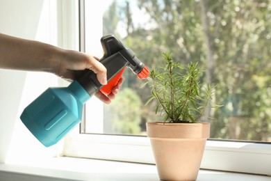 Photo of Woman spraying aromatic green rosemary at windowsill, closeup