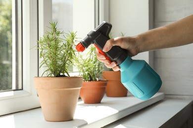 Photo of Woman spraying aromatic green rosemary at windowsill, closeup