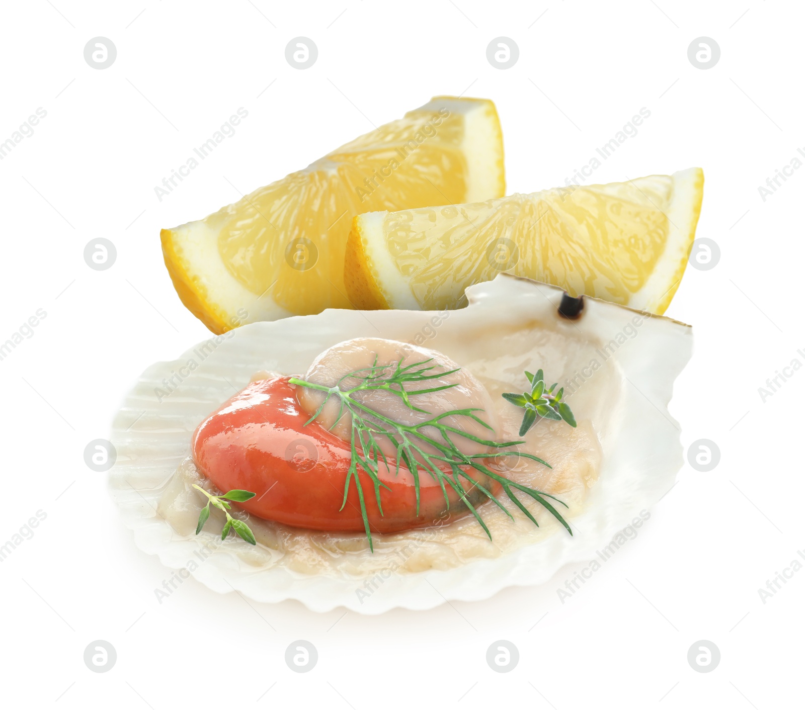 Image of Scallop in shell, lemon and herbs on white background