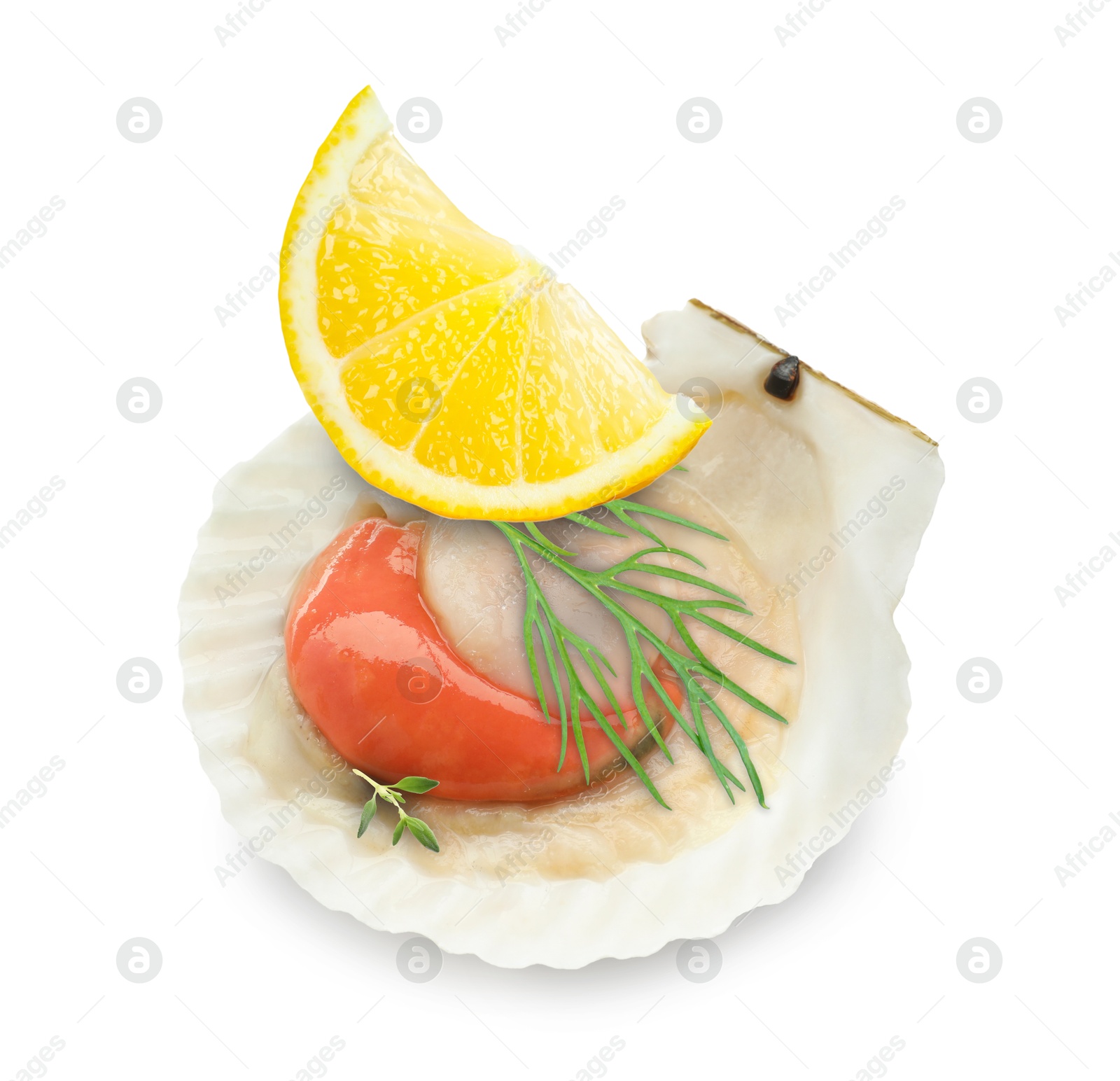 Image of Scallop in shell with lemon and herbs on white background