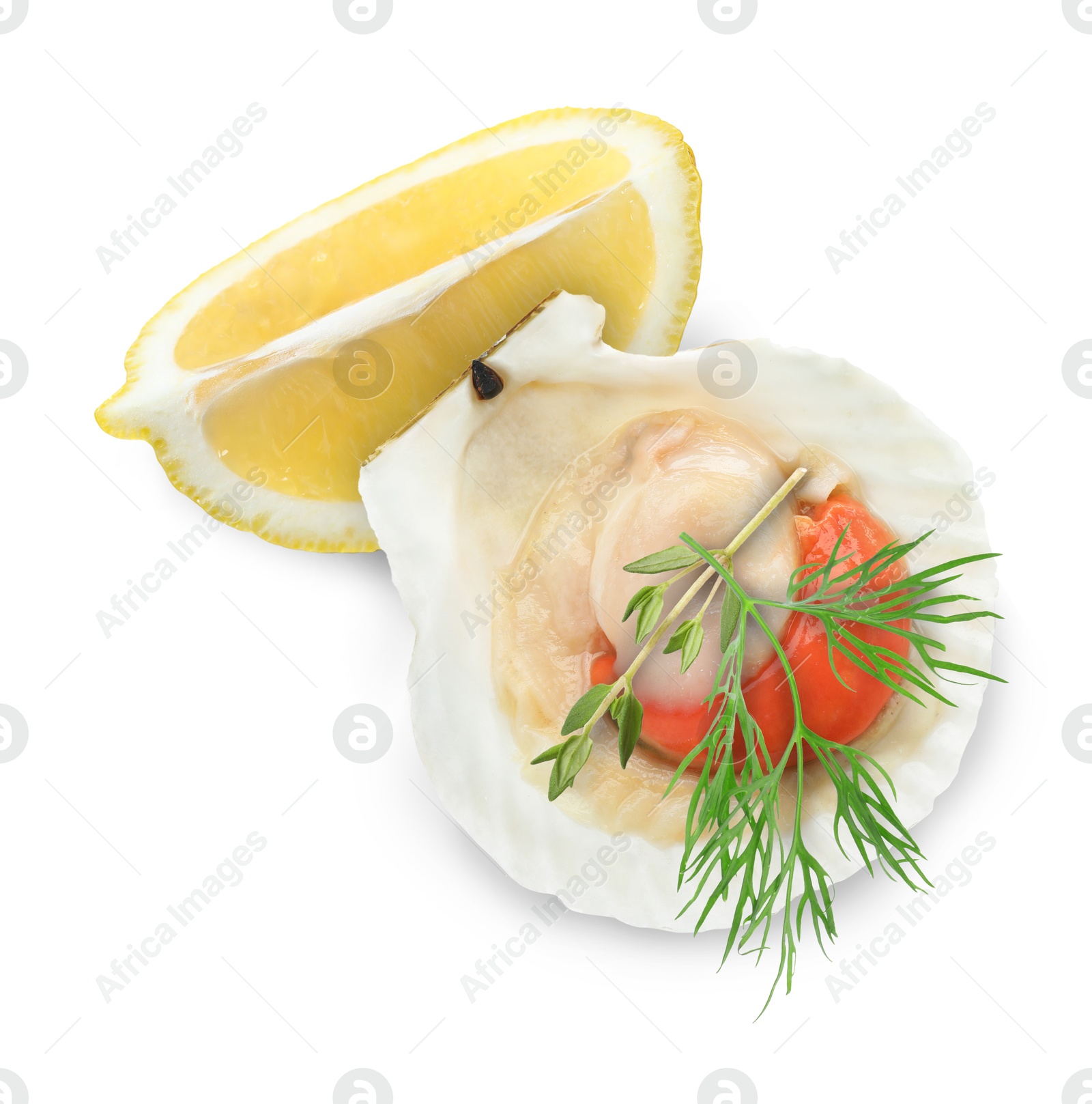 Image of Scallop in shell, lemon and herbs on white background