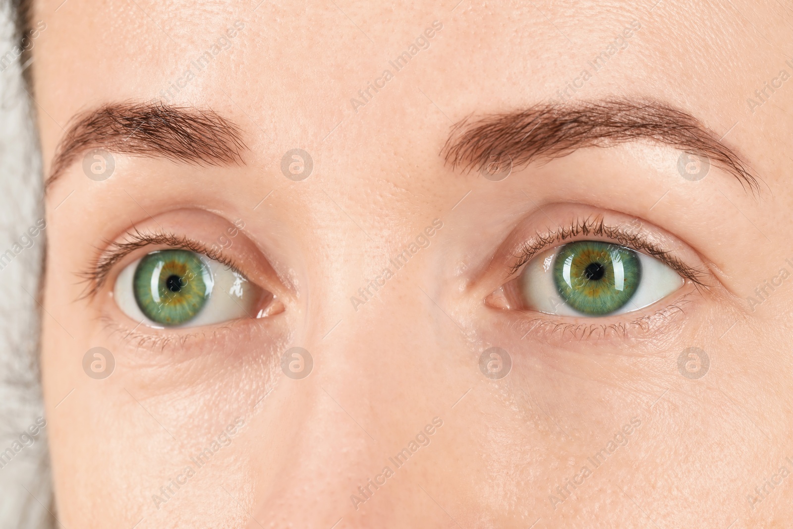 Photo of Woman with beautiful green eyes, closeup view